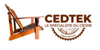 cedtek-logo copie